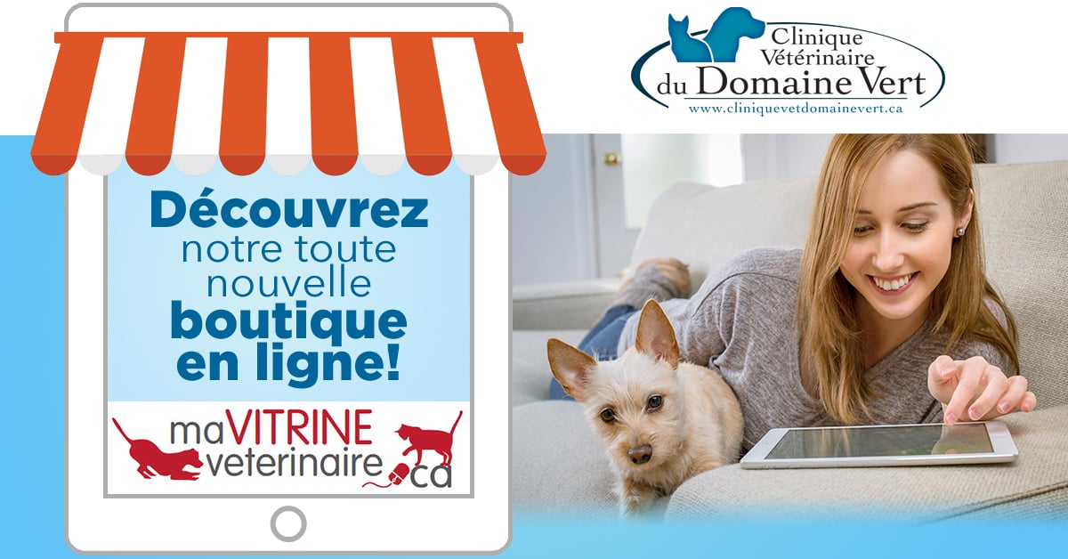 Boutique en ligne| Équipe Clinique vétérinaire du domaine vert, Mirabel