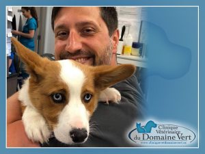 Patrick Lewis, Docteur en médecine vétérinaire | Équipe Clinique vétérinaire du domaine vert, Mirabel